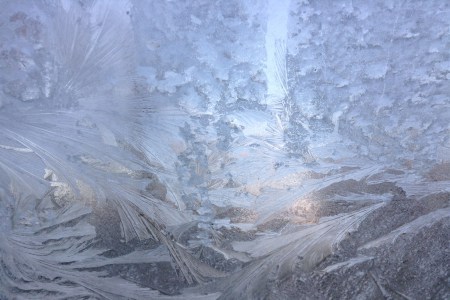 Frost Digital photo Dawn Blair ©2014