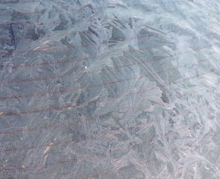 Frost #2 Digital photo Dawn Blair ©2014