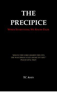 THE PRECIPICE_cover