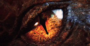 dragon4