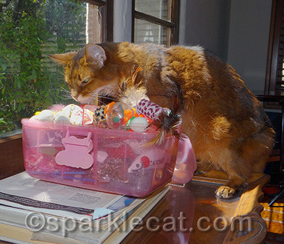 Overflowing toy box