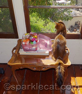Checking out the view