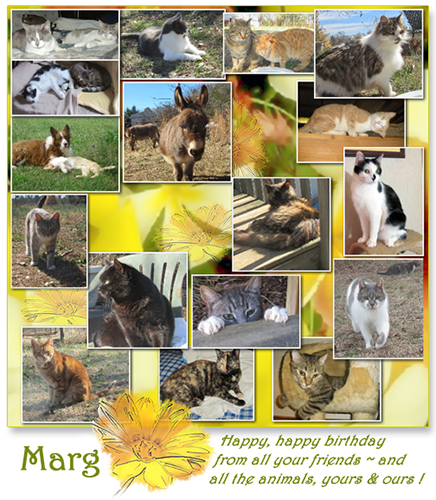 Happy birthday, Marg!