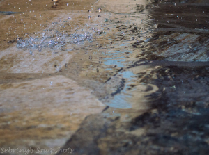 Photo courtesy of Sebring's Snapshots.