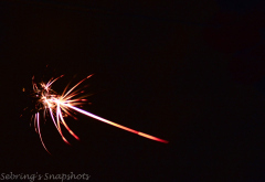 Photo courtesy of Sebring's Snapshots.