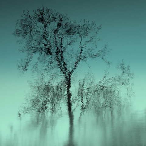 stockvault-feeling-blue116730