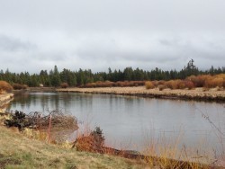 April 2 2014 Black Butte 119