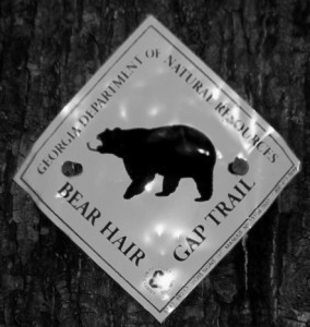 bwbearsign