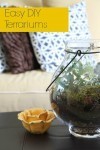How_To_Make_Terrariums-Header