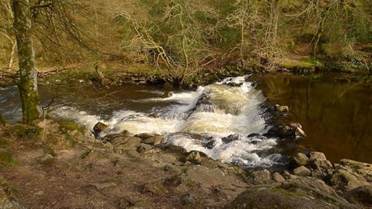 Flowing past obstacles.
