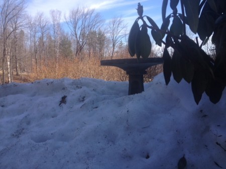 snow