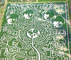 Help! I'm trapped in Ringo's left nostril...again.
