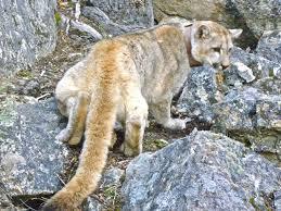  photo images1_zpsfe5b83e4.jpg