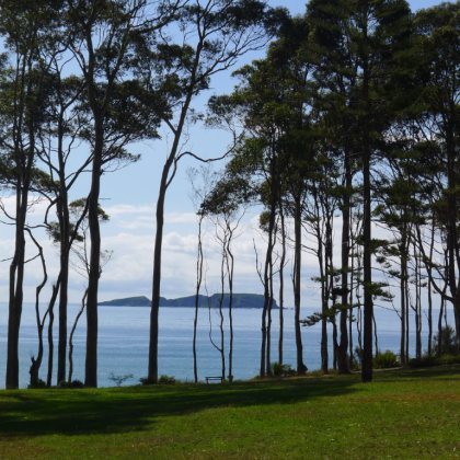 Near Batemans Bay, NSW