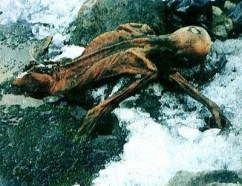 OetzitheIceman-glacier-199109b[1]