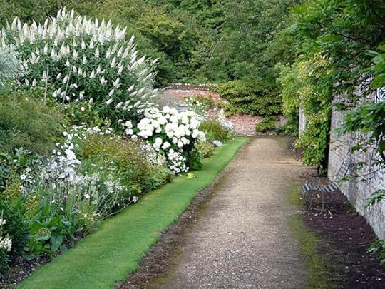 All white garden