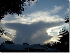 anvil2