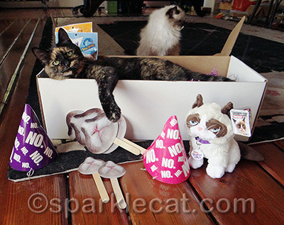 Yes, of course she's the one in the box!