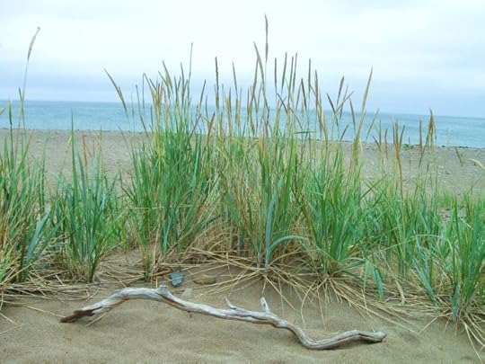 Click to visit the original post