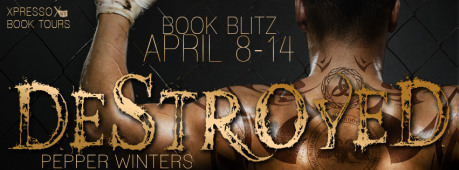 DestroyedBlitzBanner1