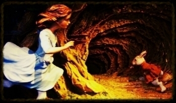  photo 5a37aa5b-25df-42dc-a2ce-bde2b3f6f6aa_zps0f6042e9.jpg