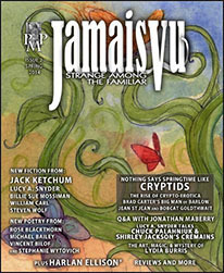 jamaisvu2