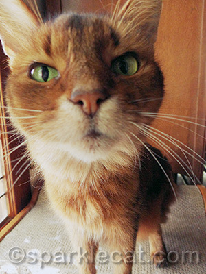 I thought you wanted a close up