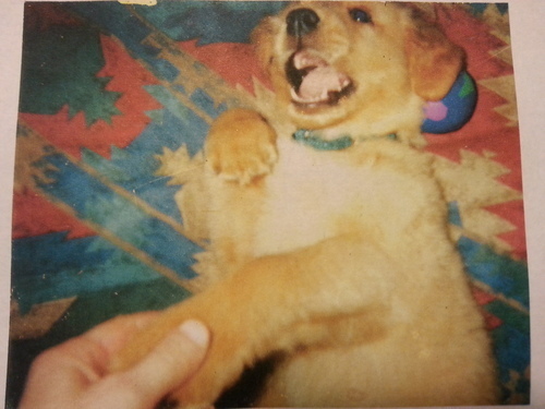 The only known picture of a baby Axl  As I sit here and look at it, I realize it is likely this was taken almost twelve years ago on the nose.  