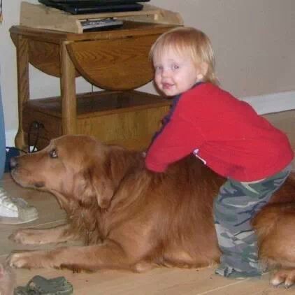 My kids could ride this dog, poke him in the eyes, pull his tail, scream in his ears, and he would be nothing but gentle with them.  Nights at our house would consist of Axl walking from room to room to make sure everyone was ok.  