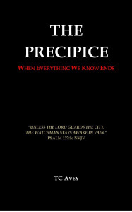 THE PRECIPICE_cover