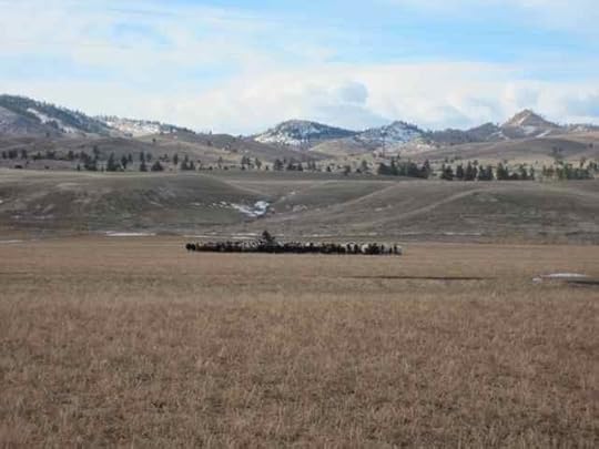 04-heretheycome_6224