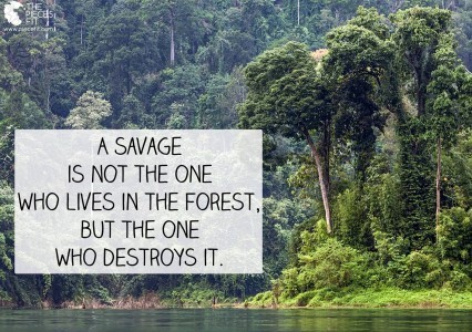 Haiti gov raise only Ile a Vache forest to ground to build tourists an airport