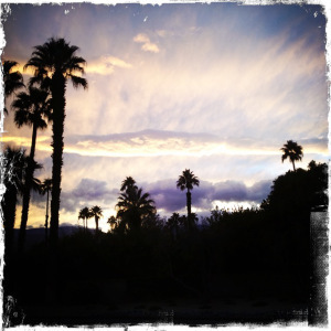 Photo A. Mosca California Notebooks