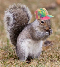 Beatrice in a hat