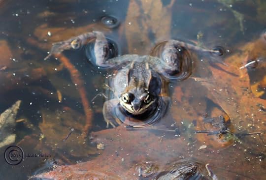 Yeah, it's comfortable.