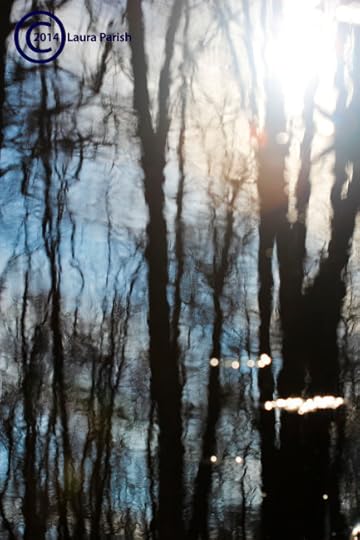 Dynamic Reflections in perspective