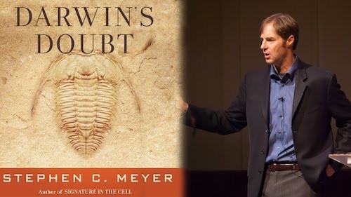 Meyer Doubt.jpg