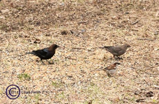 Male on the left, female on the right.