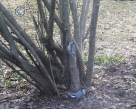 Yeah! Check me out little lady.