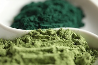 vegetablepowders