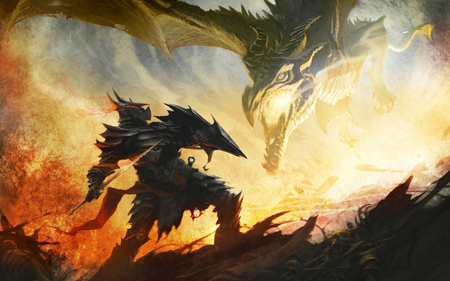 dragon and knight2