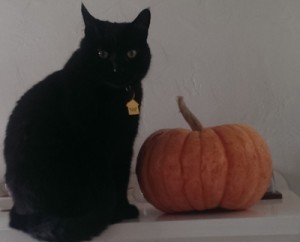 Shadow with pumpkin