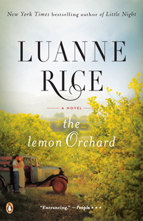 the-lemon-orchard-by-luanne-rice-paperback-medium