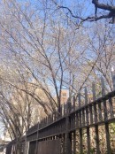 photo-19