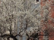 photo-12