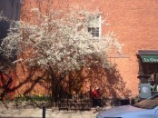 photo-20