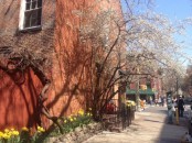 photo-15