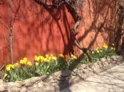 photo-14