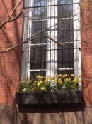 photo-16