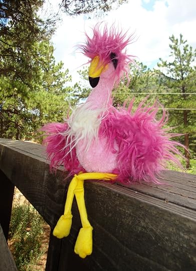 Flamingo